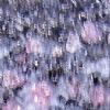 Purple Pearl Granite