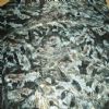 Granite Golden Diamond