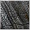 Tree Black