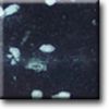 Granite Countertop