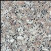 Granite Floor / Wall Tile -G636