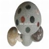 Craft of The Mushroom