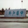 Stele -2