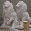 Double Stnading Lion