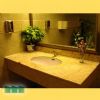 Marble & Granite Bathroom Countertop (SW-BCT019)