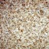 Granite