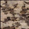 Granite (SM-G571)