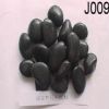 Pebble (J009)