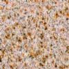 Granite(G682)