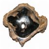 Stone Sink/ Fossil Sink