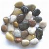 Colorful Pebble Stone