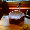 Fossil Wood Sink