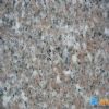Granite Tile(G617)