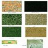 Granite Countertop