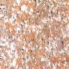 Granite Slabstone (zy-cg-023)
