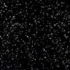Grey Spot Black