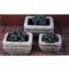 Granite Flower Pot