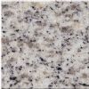 SLAB-Shandong White