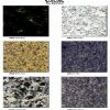 Chinese Granite Slabs & Tiles