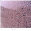 Granite