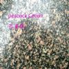 Green Granite & Stone