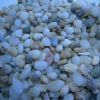 Pebble