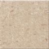 Valued Cream Marble