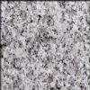 Granite G603