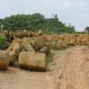 Basalt G0168A