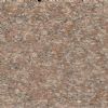 Granite Slab(Bamboo Leaf)
