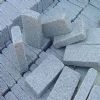 Paving Stone (CL-XF0006)
