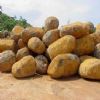 Basalt G0168B