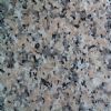 Xili Red Granite