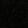 Granite (Shanxi Black)