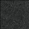 Sesame Black