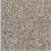Paving Stone (01)