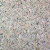 Granite Tiles-G681