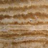 Noce Travertine