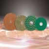 Flexible Polishing Pad Flexible Polishing Pad
