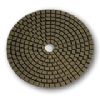 Diamond Polishing Pad