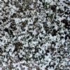 Tiles (G-660)