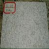 Floor Tile (FHT2)
