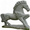Carving (TCA08)