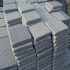 Tumbled Paver