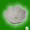 Basin FHB10