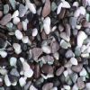 Pebble Stone (Mixed)-1