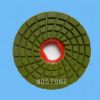 Snail Lock Polishing Pad (MS05-2)