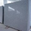 Slab-G603