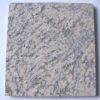 Tiger Skin (G889)