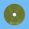 Wet Polishing Pad (MS03-1)